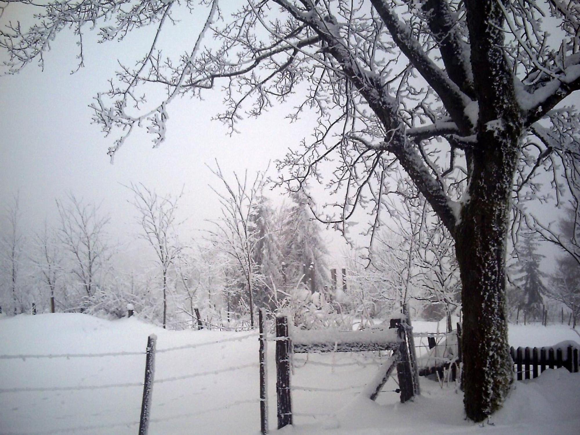 Cosy Apartment In Menkhausen Near The Ski Area ชมาลเลนแบร์ก ภายนอก รูปภาพ